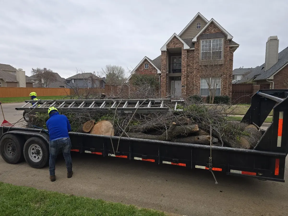 Expert Tree Pest Control with proper safety equipment in Bryant Pond